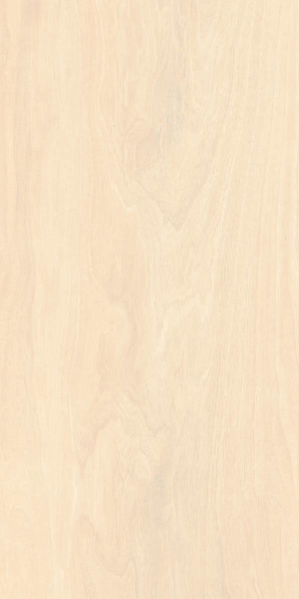 MAPLE BEIGE F3